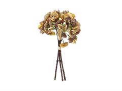 BUNDLE ORTENSIA X3 CM35 CAFFE'