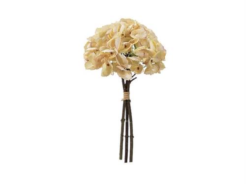 BUNDLE ORTENSIA X3  CREMA