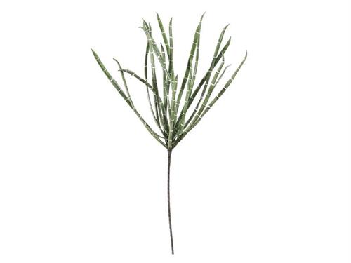 SANSEVERIA CONICA FOAM CM107 VERDE