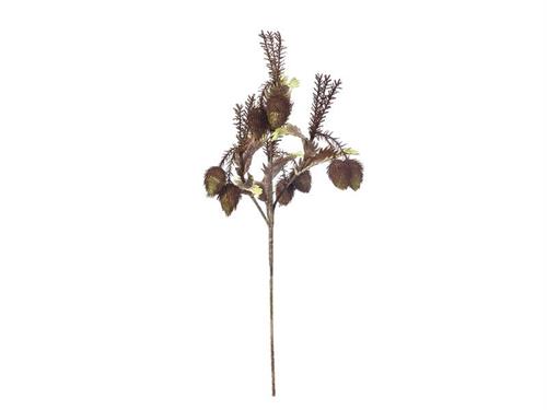 PROTEA QUEEN FOAM CM105 VERDE/CAFFE