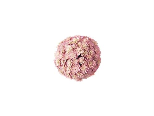 SFERA SUCCULENTE CM10 ROSA