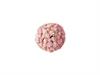 SFERA SUCCULENTE CM10 ROSA