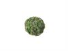 SFERA SUCCULENTE CM10 VERDE