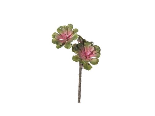 PIANTA GRASSA CM35 VERDE/ROSA