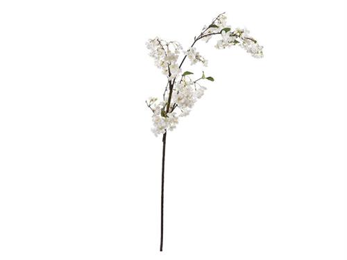 RAMO PESCO CM154 BIANCO