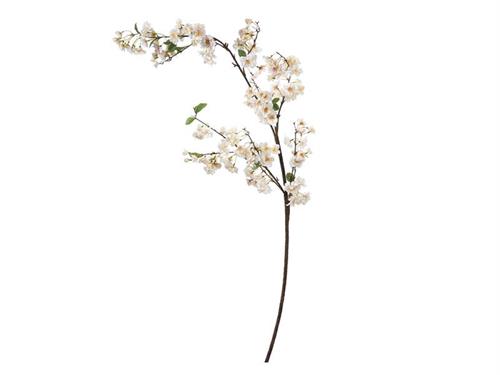 RAMO PESCO CM154 CREMA