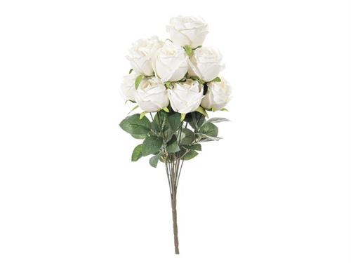BUSH ROSE CAROLINE X12 CM49 BIANCO