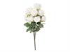 BUSH ROSE CAROLINE X12 CM49 BIANCO