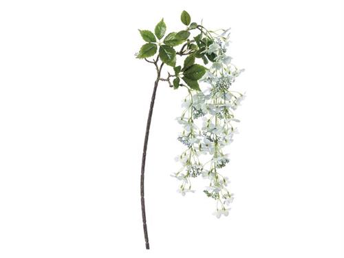 ORTENSIA PANICULATA CM120 BLU