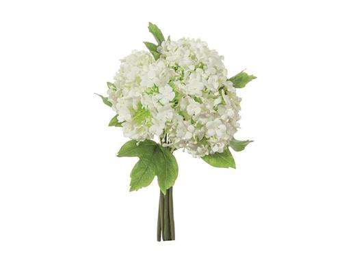 BUNDLE VIBURNO X5 CM27 BIANCO