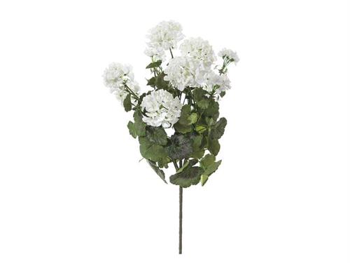 BUSH GERANI MAXI CM61 BIANCO