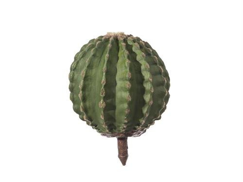 PIANTA GRUSONE H38 VERDE