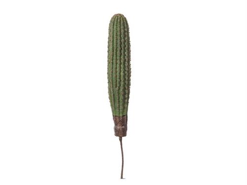 PIANTA CACTUS CM64  VERDE