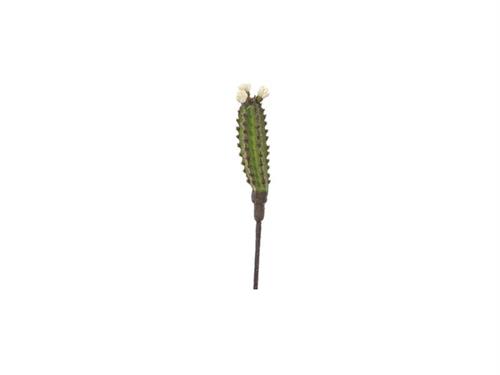 PIANTINA CACTUS CM23 VERDE