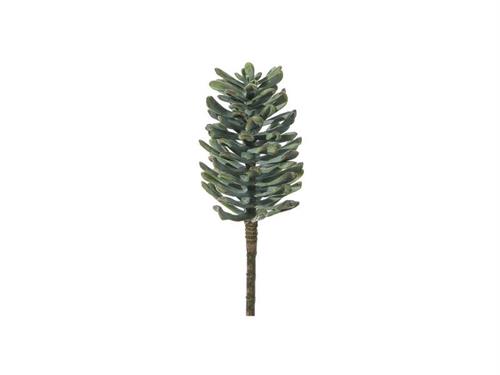 PIANTA GRASSA SUCCULENTA CM19 VERDE