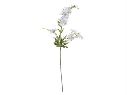 DELPHINIUM CM100 BIANCO