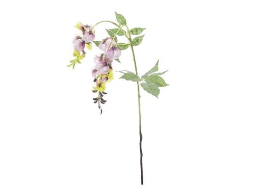 RAMETTO GLICINE CM60 ROSA