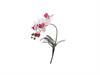 PIANTINA PHALAENOPSIS REAL TOUCH C/FOGLIE CM41 BIANCO-ROSA