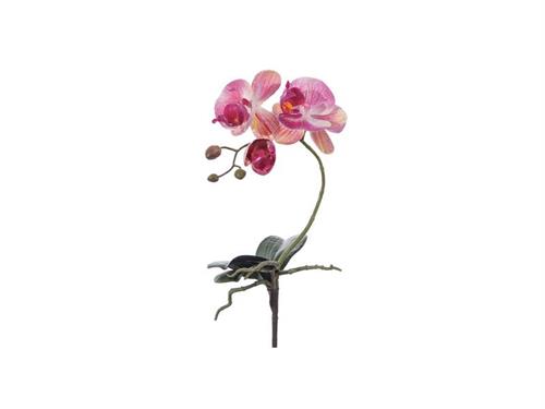 PIANTINA PHALAENOPSIS REAL TOUCH C/FOGLIE CM41 ROSA