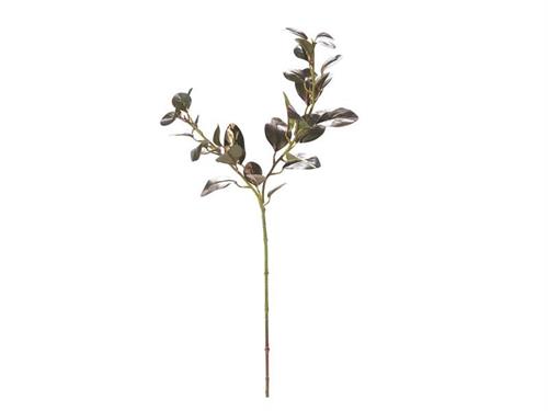 POTINIA CM85 VERDE/COPPER