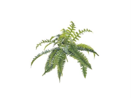 BUSH FELCE X24 VERDE