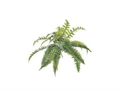 BUSH FELCE X24 VERDE