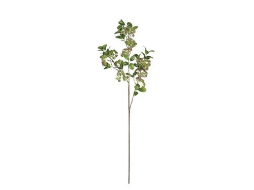 SPIREA BUMALDA CM85 ROSA