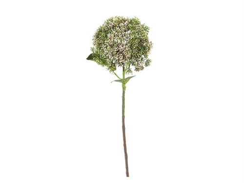 BACCHE DI ORTENSIA CM56 ROSA