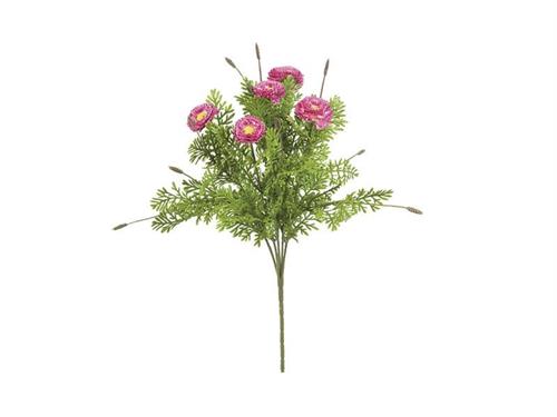 BUSH PRATOLINA CM33 FUXIA