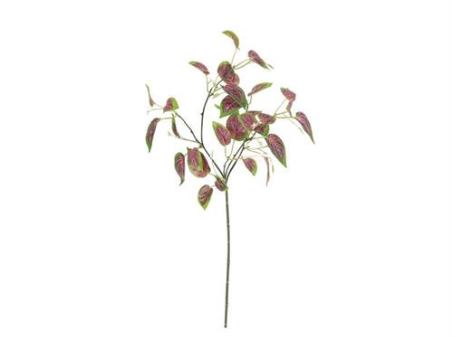 RAMO COLEUS X2 CM57 VERDE-ROSA