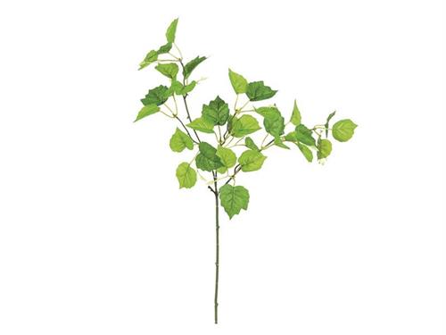 RAMO BETULLA CM55 VERDE