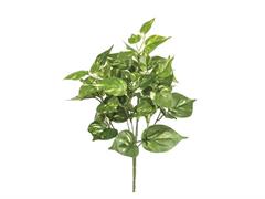 BUSH AUCUBA CM40 VARIEGATO