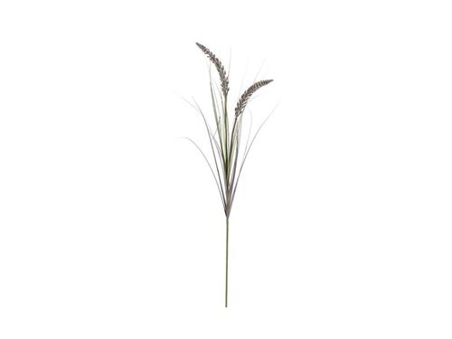 SETARIA CM90 C/GRASS VERDE-MARRONE