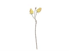 BOCCIOLO X2 DRY & TOUCH CM43 GIALLO