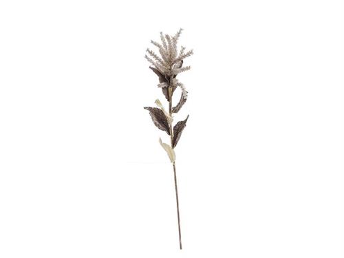 SOLIDAGO DRIED CM58 NATURAL