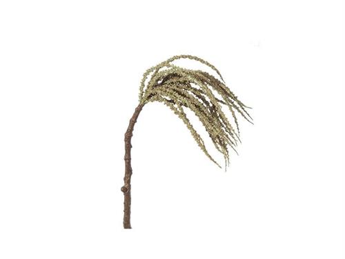 CADENTE PALMA DRIED CM66 VERDE