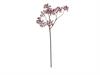 RAMO BACCHE MINI ROSA CANINA CM78 BORDEAUX
