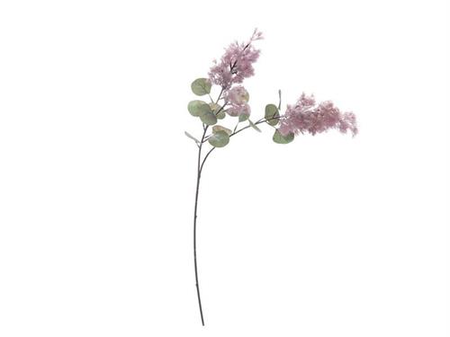 RAMO COTINUS X3 CM89 PURPLE