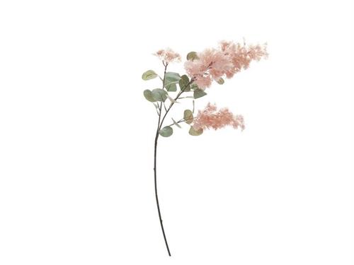 RAMO COTINUS X3 CM89 ROSA