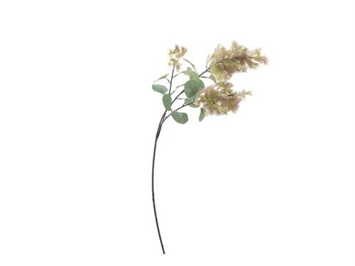 RAMO COTINUS X3 CM89 VERDE/LILLA