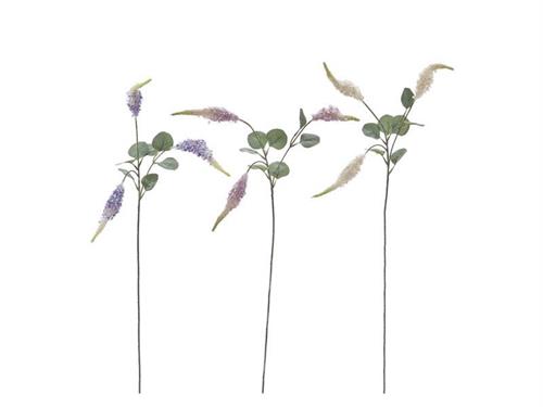 RAMO VERONICA X3 CM63 ASS