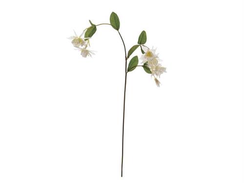 RAMO AQUILEGIA X3 CM87 BIANCO
