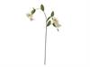 RAMO AQUILEGIA X3 CM87 BIANCO