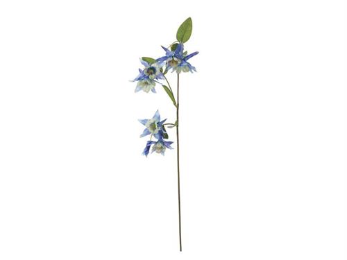 RAMO AQUILEGIA X3 CM87 BLU