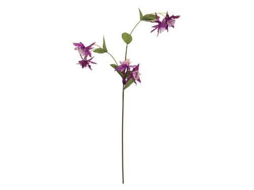 RAMO AQUILEGIA X3 CM87 FUXIA