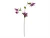 RAMO AQUILEGIA X3 CM87 FUXIA