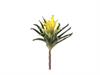 PIANTA BROMELIA CM28 GIALLO