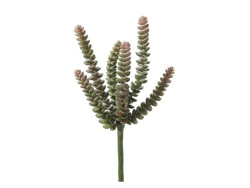 PIANTA GRASSA CM18 VERDE