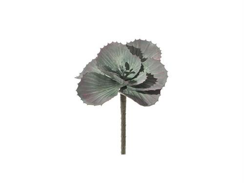 PIANTA GRASSA CM16 VERDE