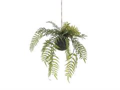 PENDENTE KOKEDAMA FELCE CM50 VERDE